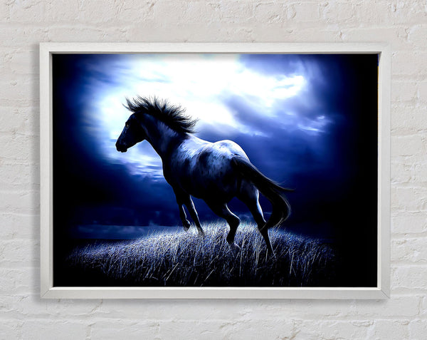 Dark Horse Framed Print