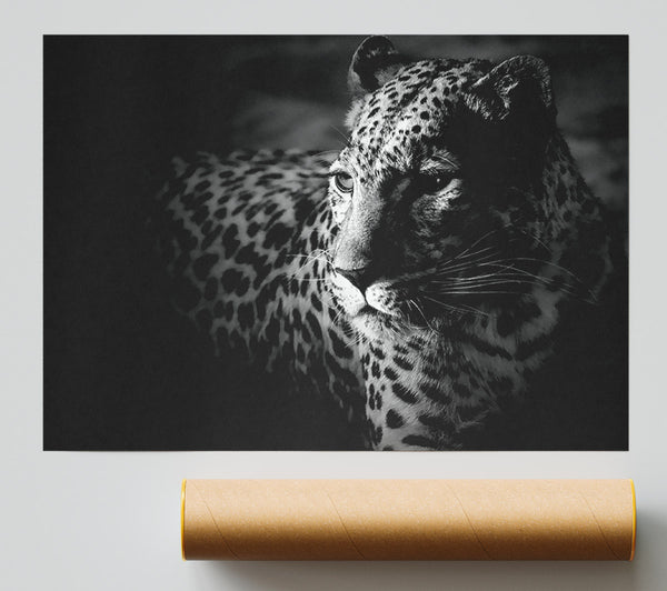 Dark Cheetah Giclee Print