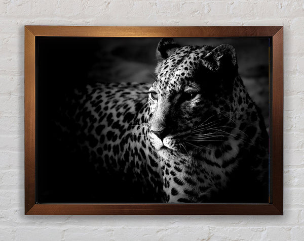 Dark Cheetah Framed Print