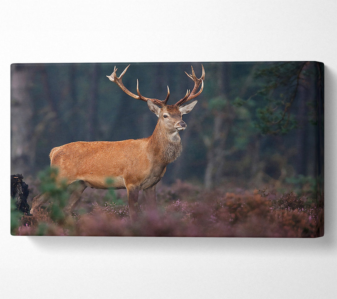  A Canvas Print of Deer 2 Canvas Wall Art