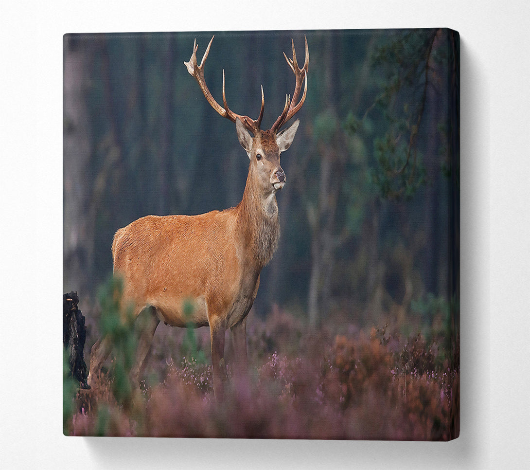  A Canvas Print of Deer 2 Canvas Wall Art