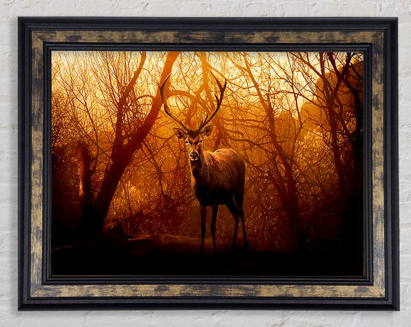 Deer In Winter Framed Print