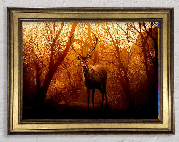 Deer In Winter Framed Print