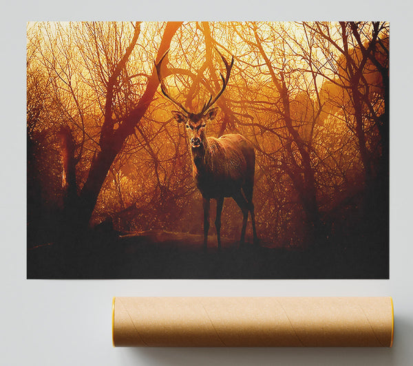 Deer In Winter Giclee Print