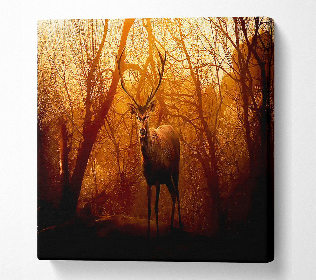  A Canvas Print of Deer In Winter Canvas Print
