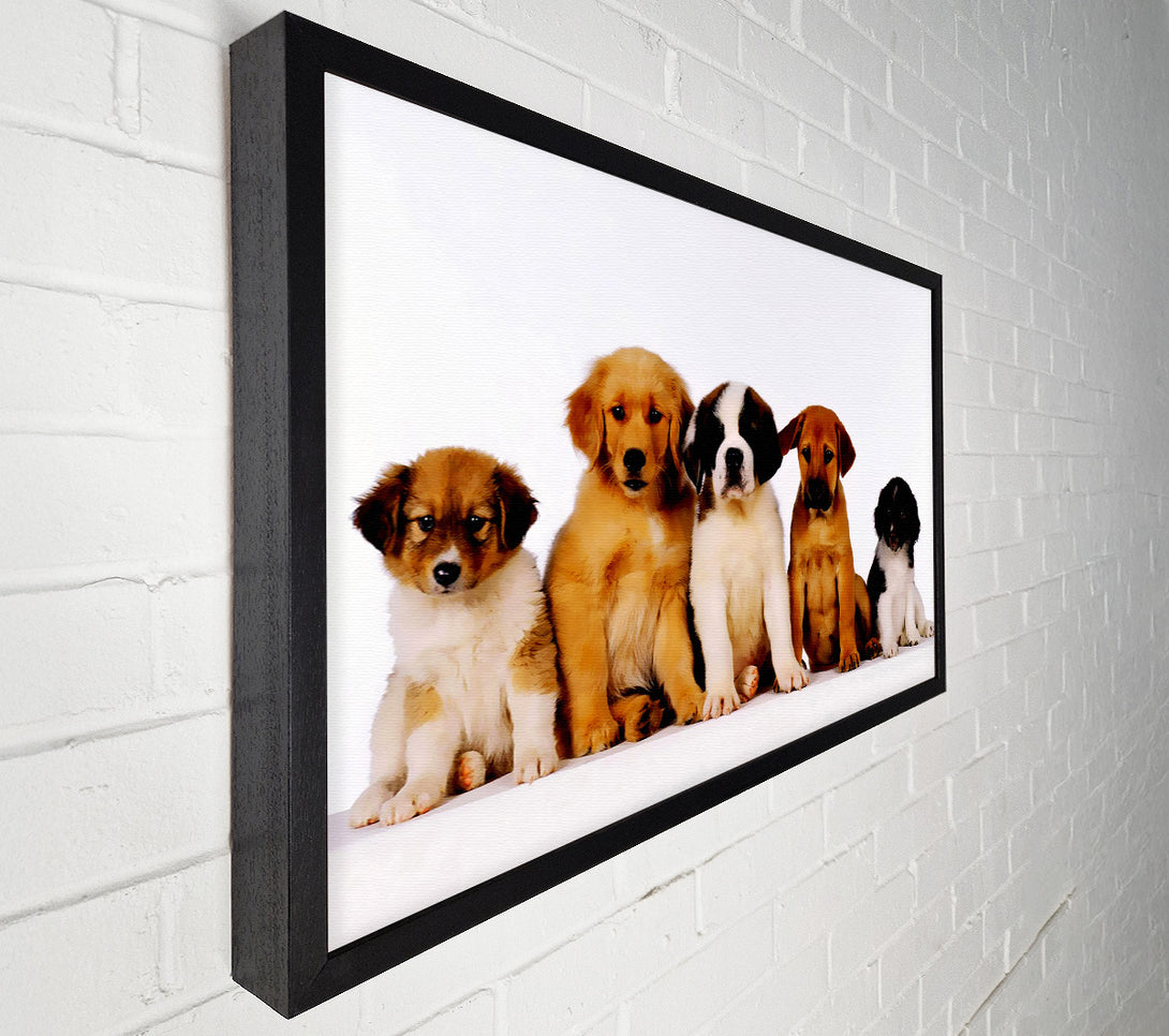  A Canvas Print of Dog Family Canvas Art