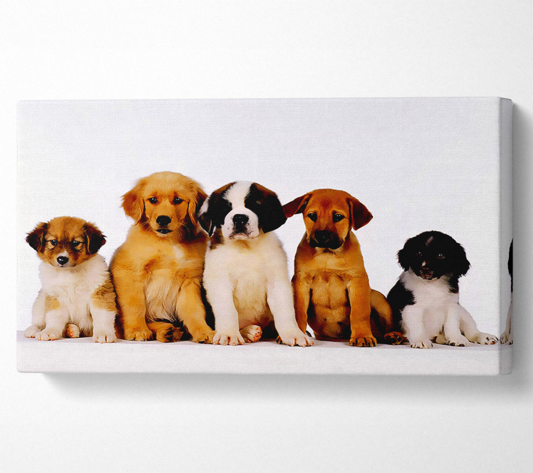  A Canvas Print of Dog Family Canvas Art