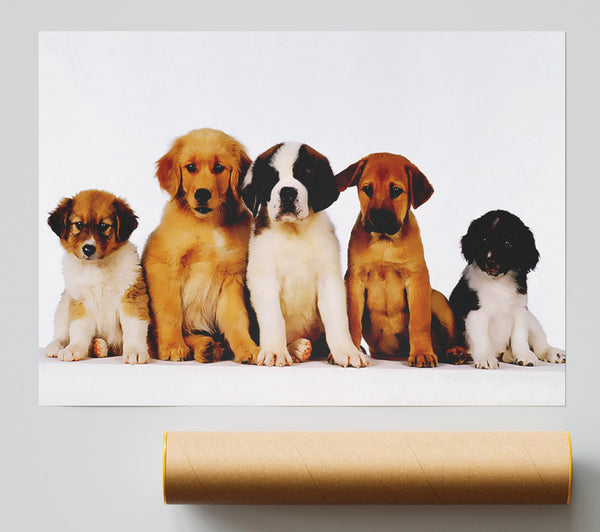 Dog Family Print