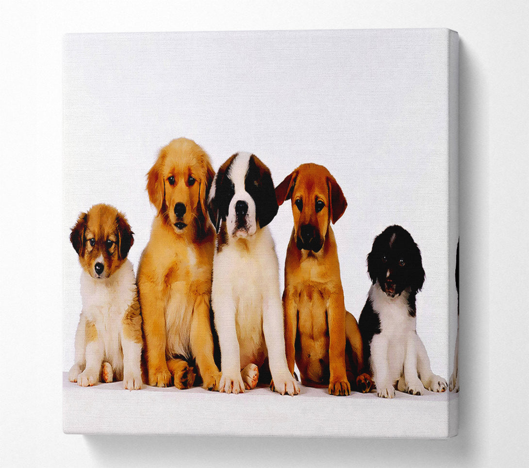  A Canvas Print of Dog Family Canvas Art