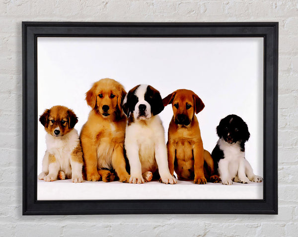 Dog Family Framed Print