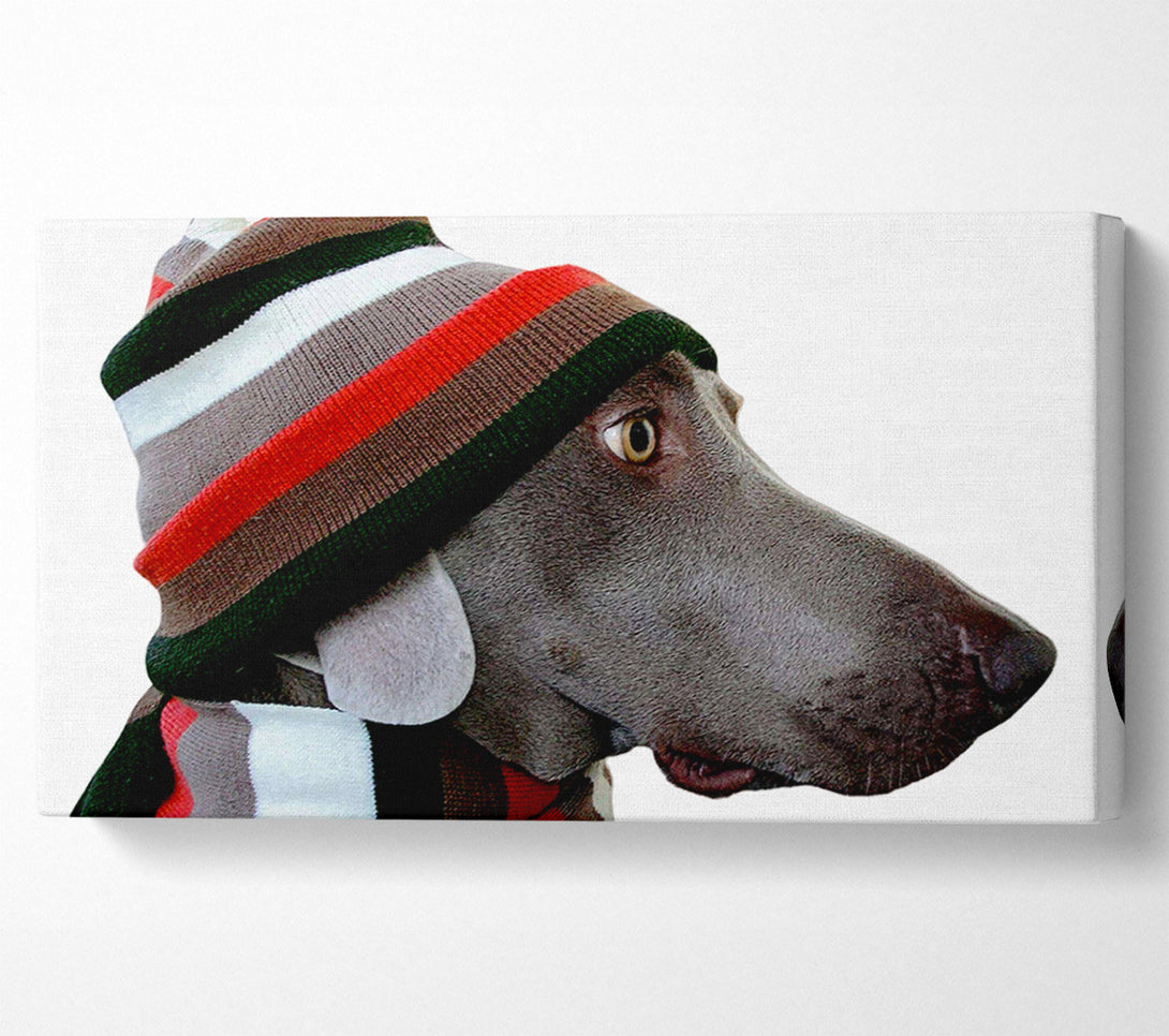  A Canvas Print of Dog Funny Hat Canvas Wall Art