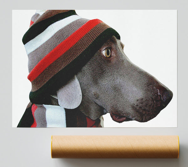 Dog Funny Hat Print