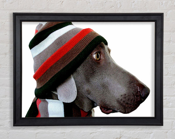 Dog Funny Hat Framed Print