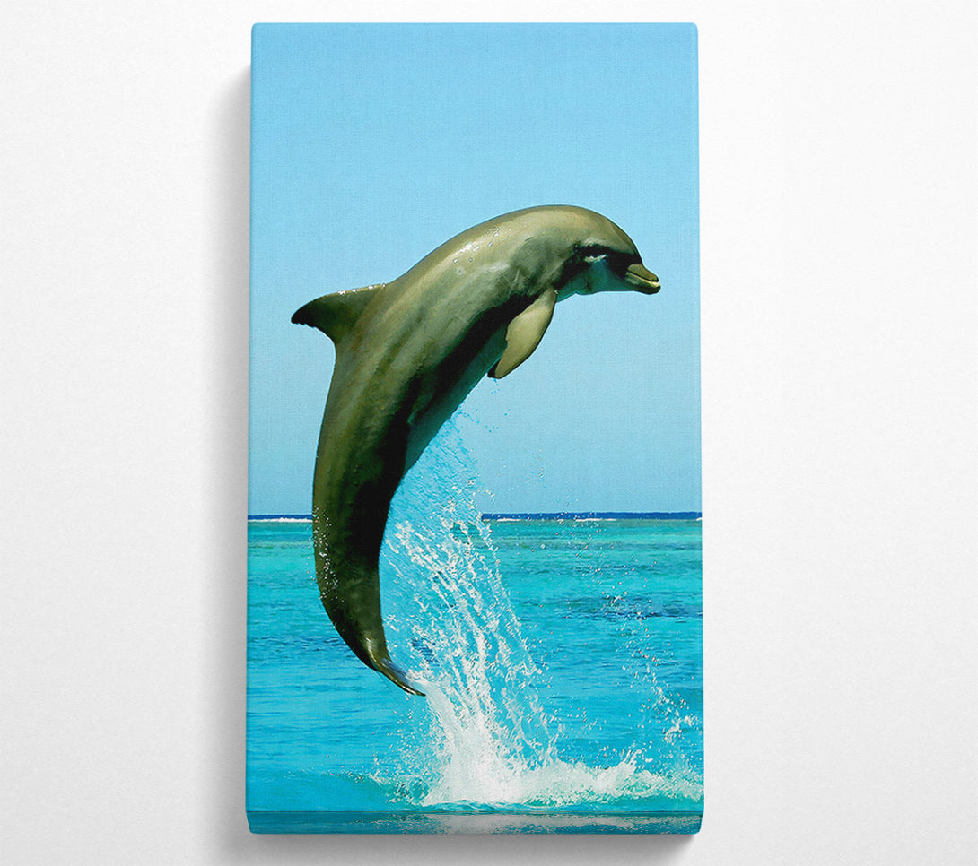  A Canvas Print of Dolphin Jump Canvas Print