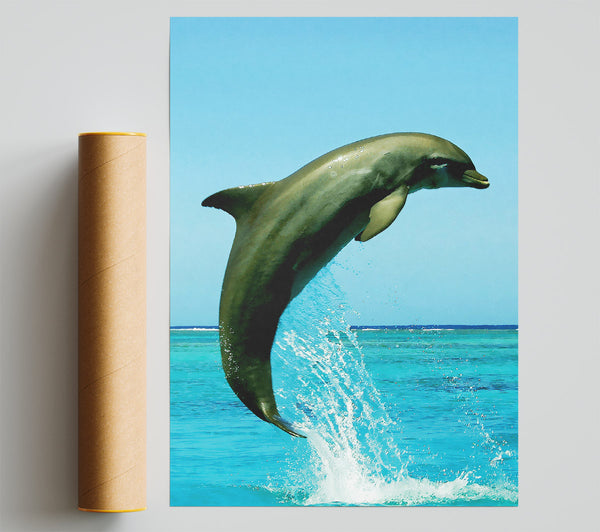 Dolphin Jump Poster