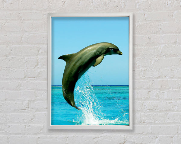Dolphin Jump Framed Print