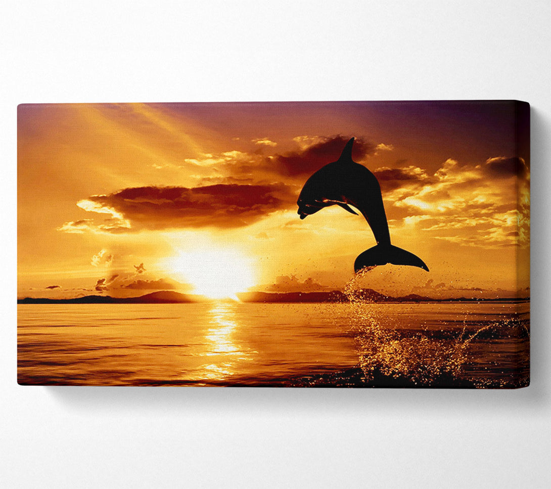  A Canvas Print of Dolphin Sunset Canvas Wall Art
