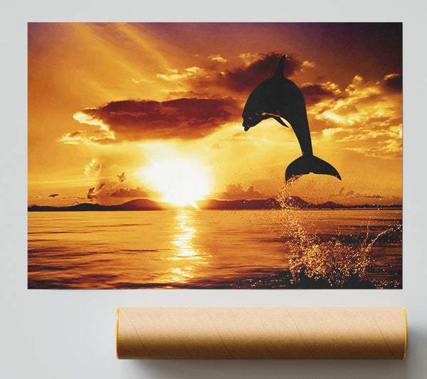 Dolphin Sunset Print