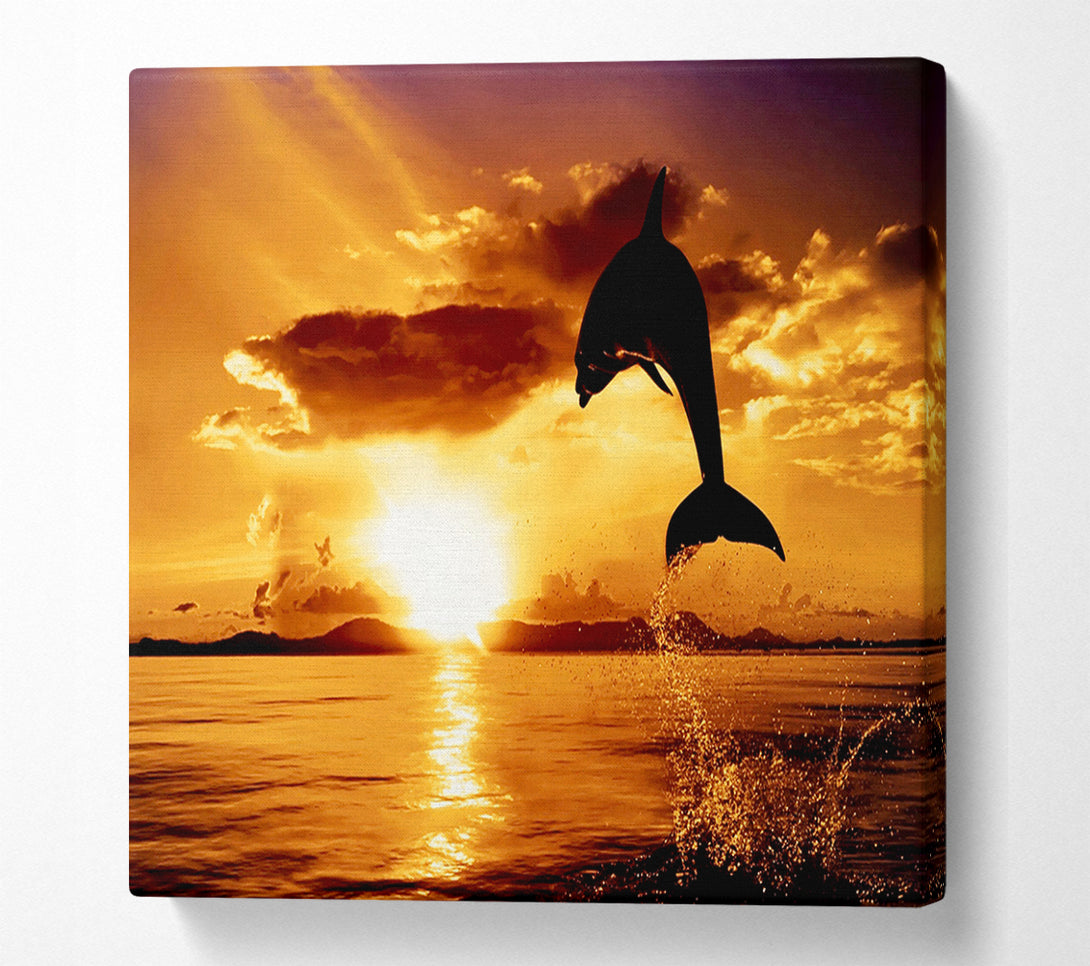  A Canvas Print of Dolphin Sunset Canvas Wall Art