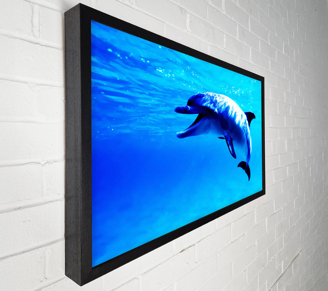  A Canvas Print of Dolphin Talk Canvas Art