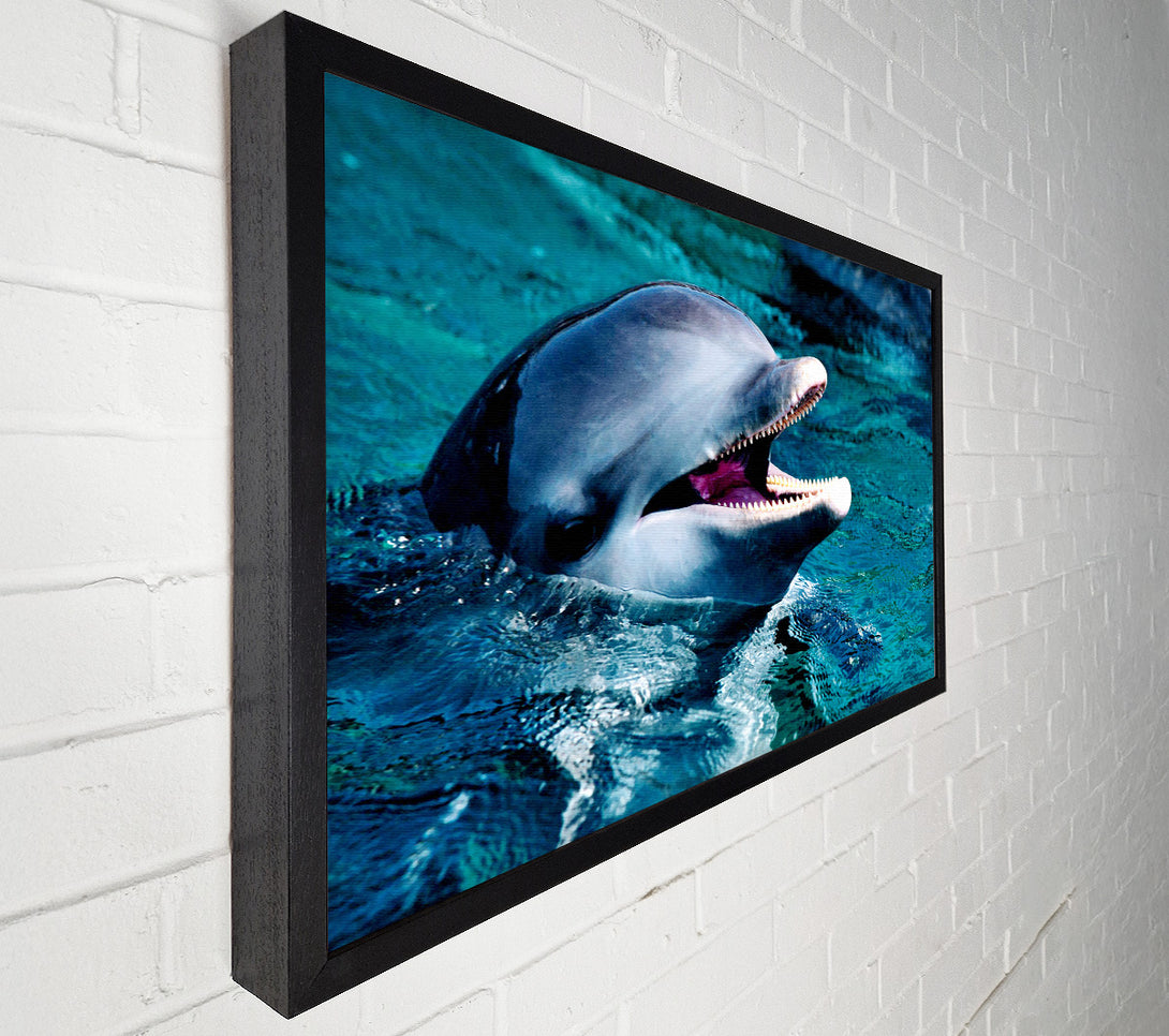  A Canvas Print of Dolphins Call Canvas Print