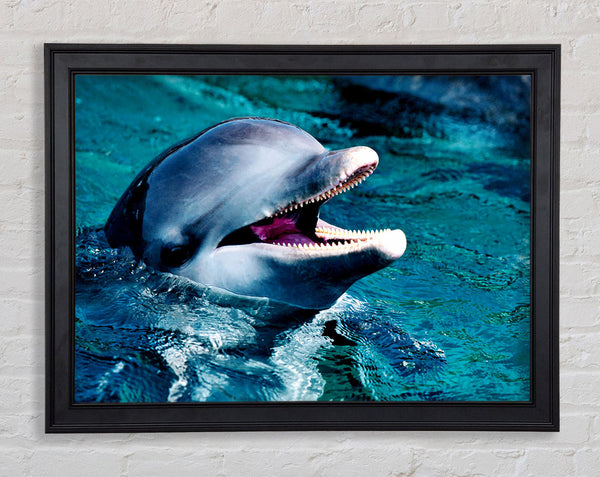 Dolphins Call Framed Print