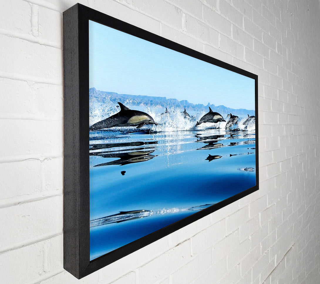  A Canvas Print of Dolphins In The Sea Canvas Print