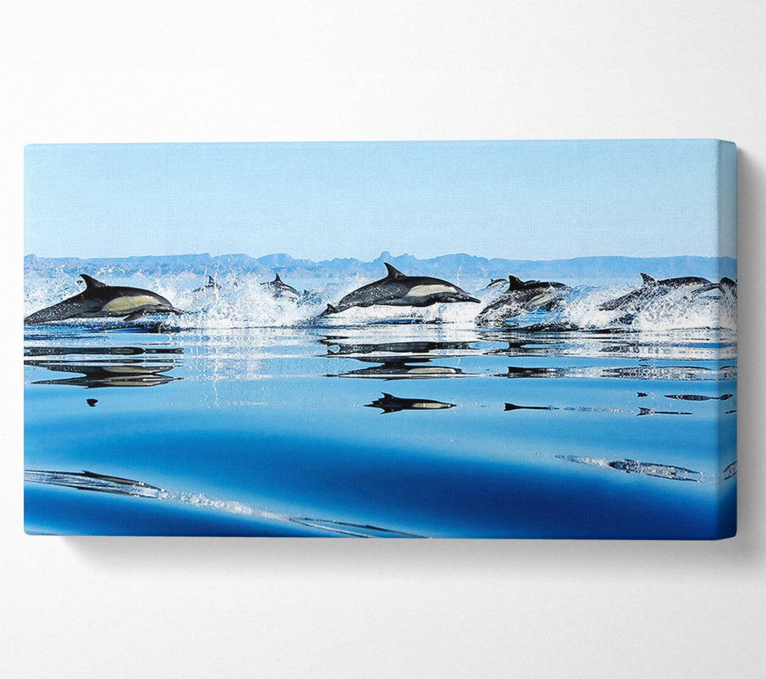 A Canvas Print of Dolphins In The Sea Canvas Print