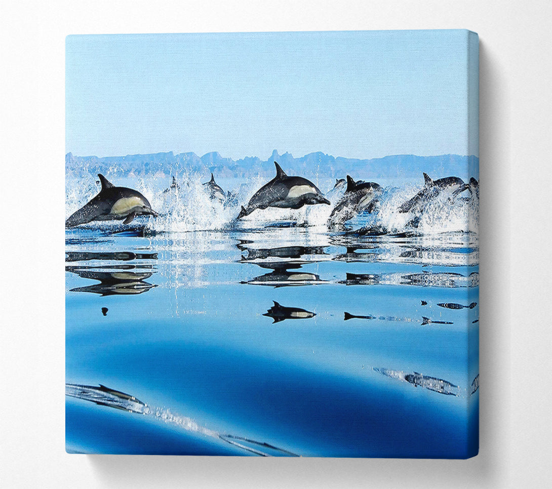  A Canvas Print of Dolphins In The Sea Canvas Print