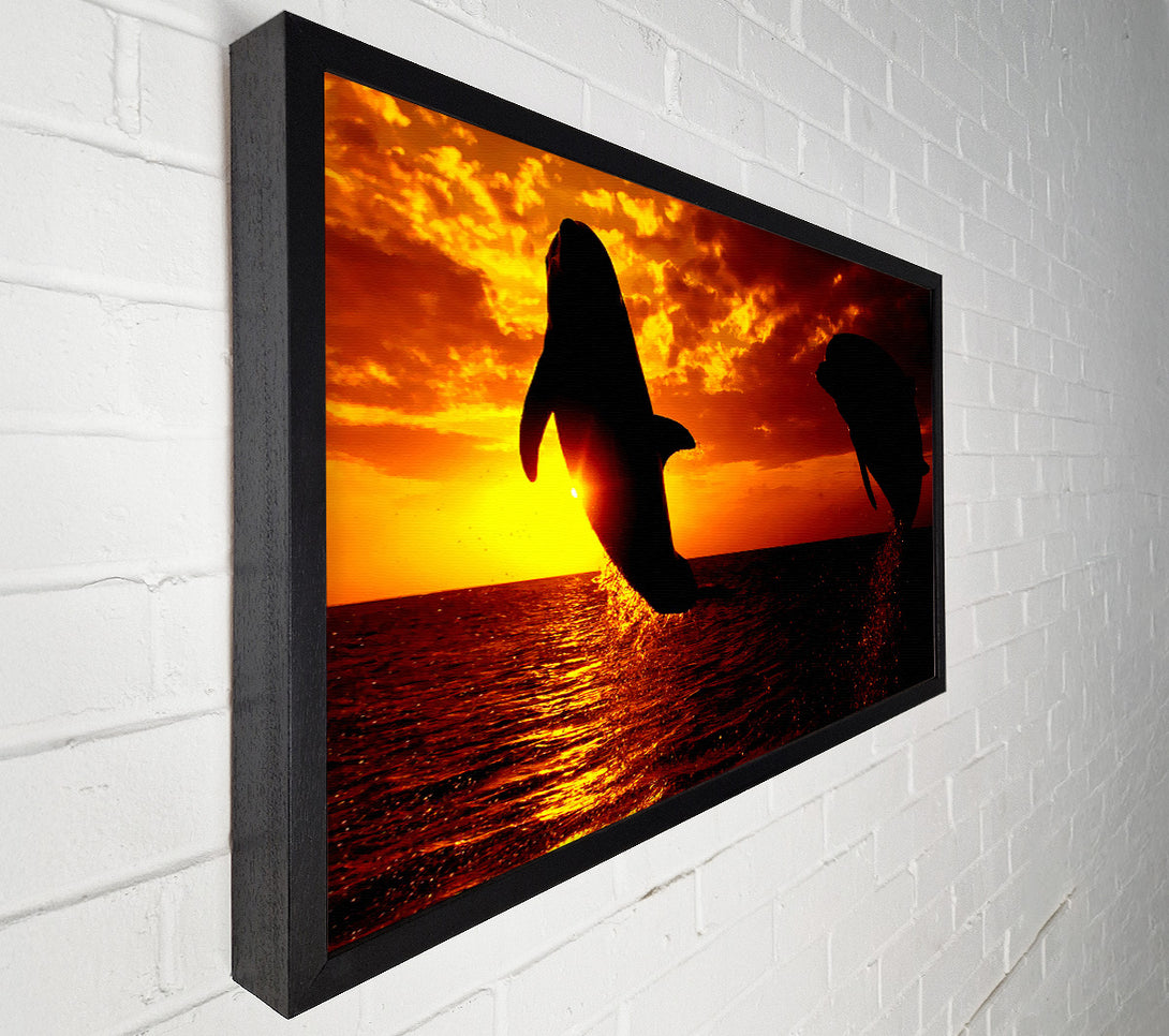  A Canvas Print of Dolphins Sunglow Canvas Wall Art