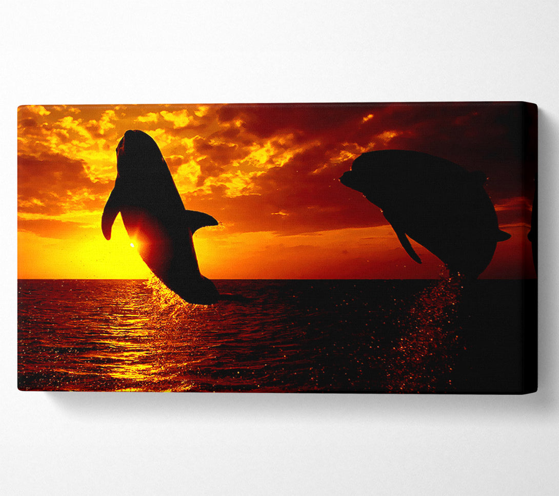  A Canvas Print of Dolphins Sunglow Canvas Wall Art