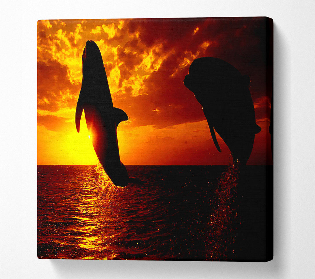  A Canvas Print of Dolphins Sunglow Canvas Wall Art