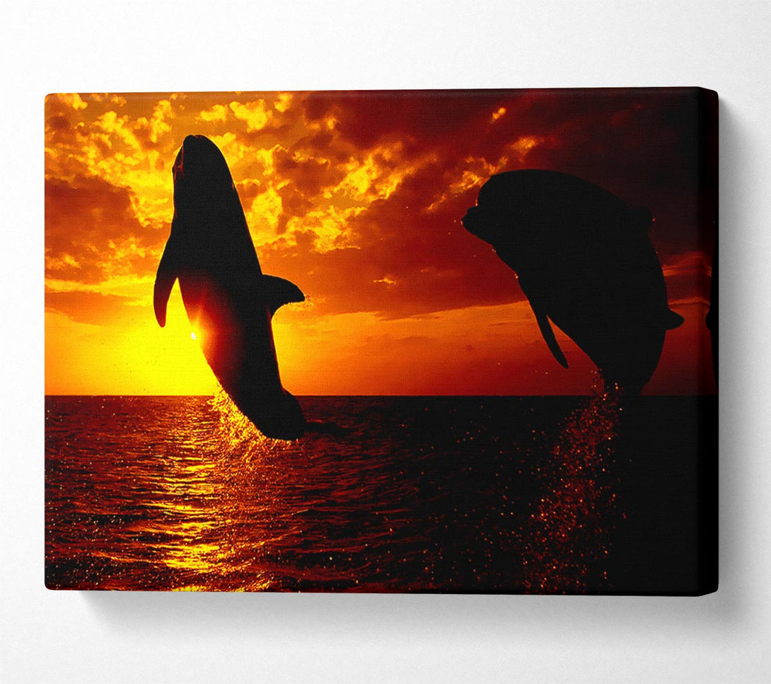  A Canvas Print of Dolphins Sunglow Canvas Wall Art
