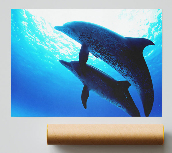 Dolphins Under The Sea Giclee Print