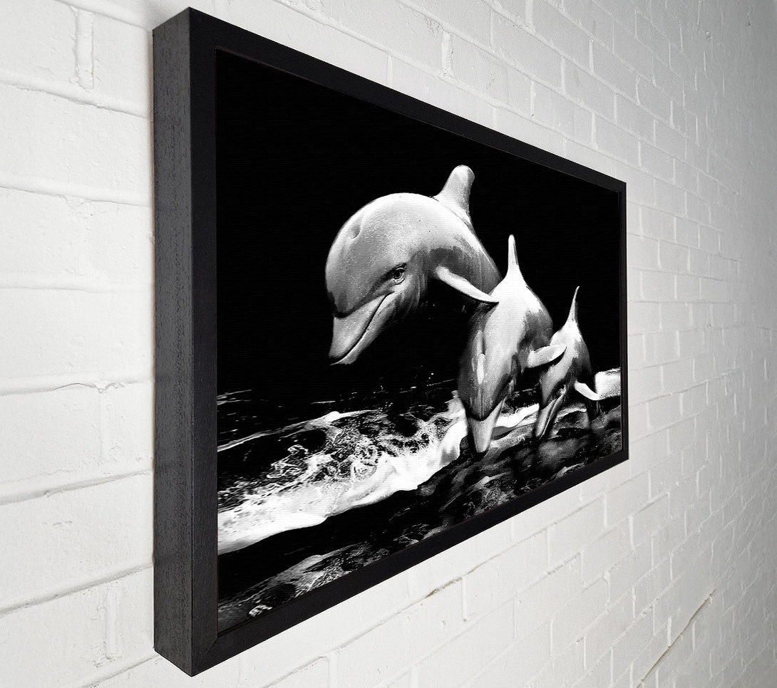  A Canvas Print of Dolphins Canvas Print