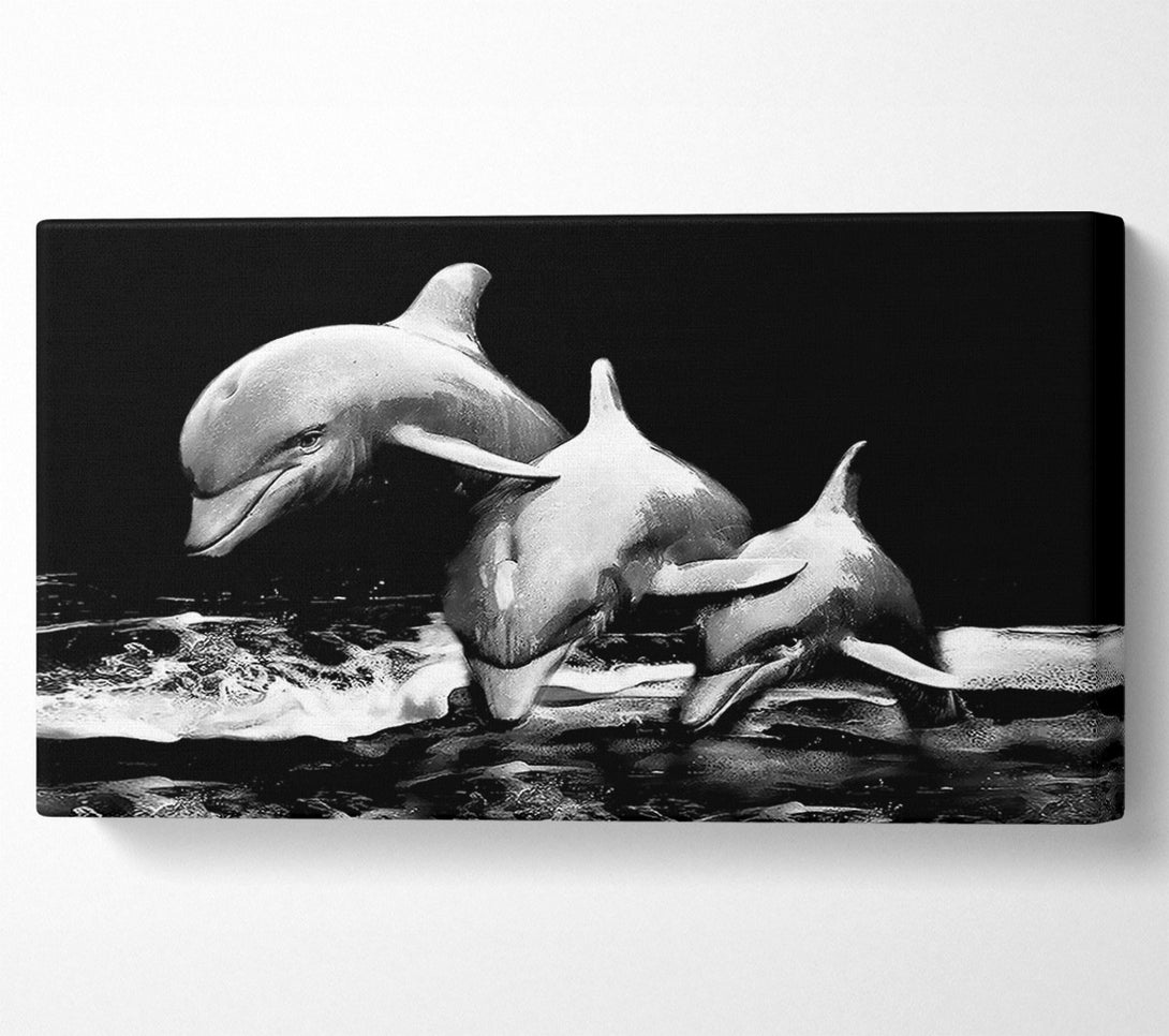 A Canvas Print of Dolphins Canvas Print