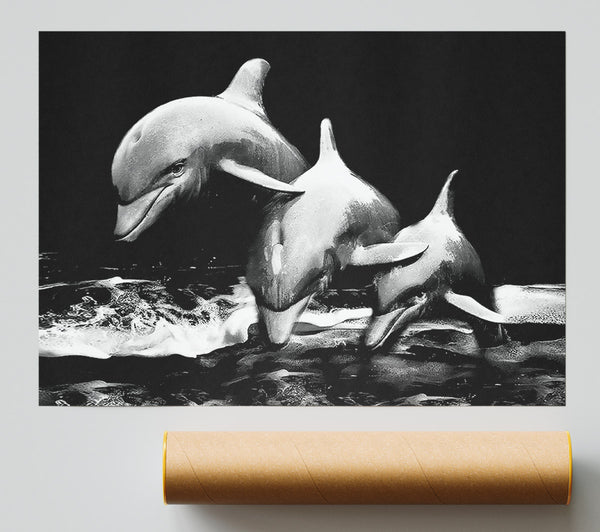 Dolphins Print