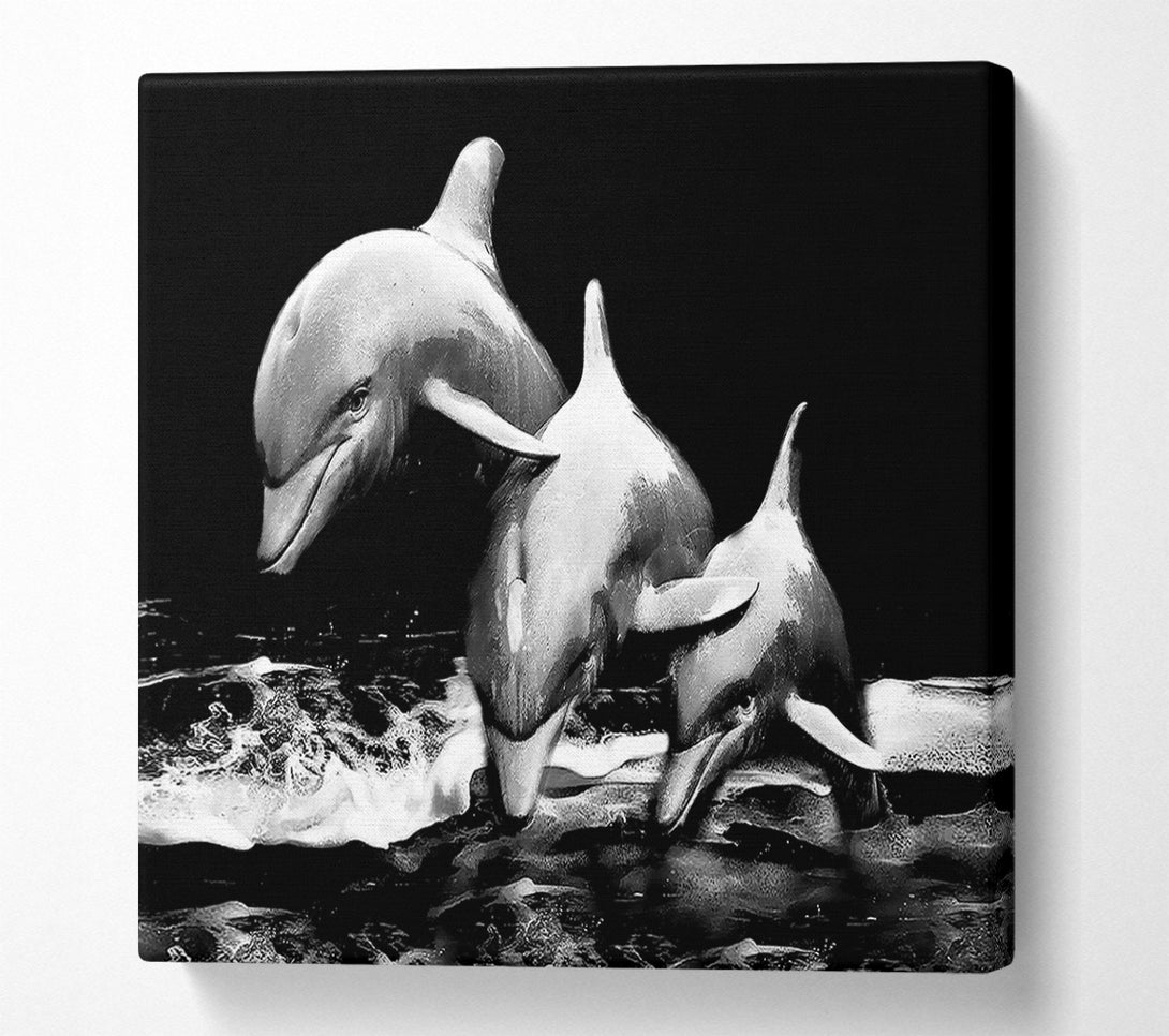  A Canvas Print of Dolphins Canvas Print