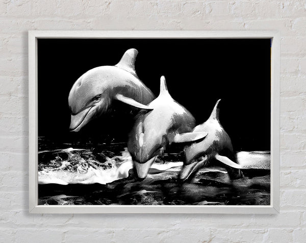Dolphins Framed Print