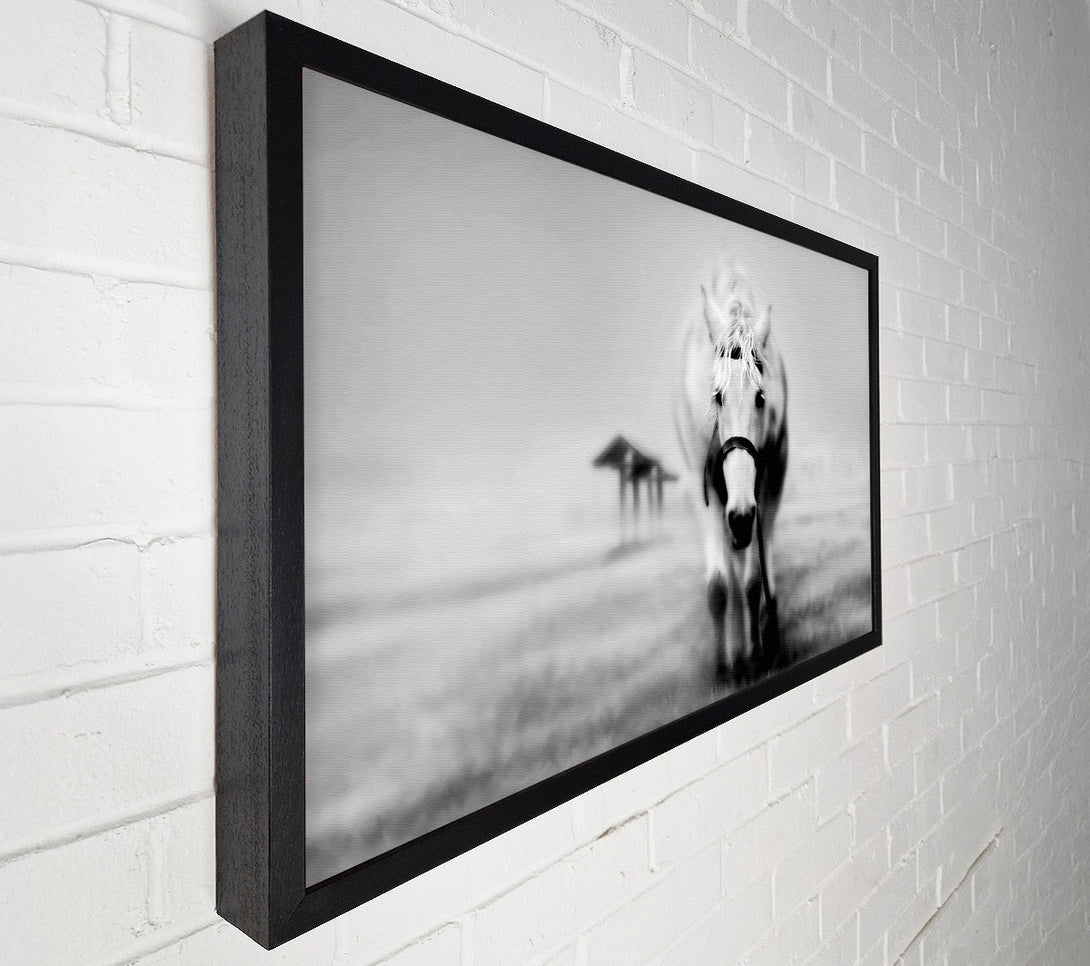  A Canvas Print of Donkey Curiosity Canvas Art