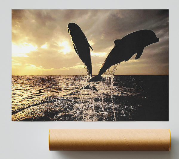 Double Dolphin Jump Giclee Print