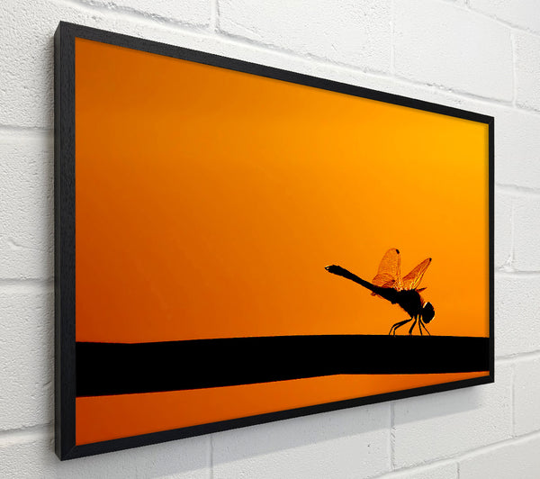 Dragonfly On A Stick