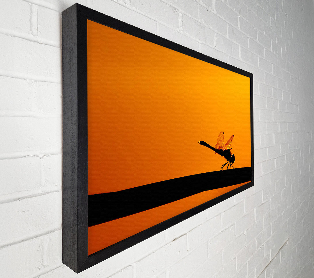  A Canvas Print of Dragonfly On A Stick Canvas Print