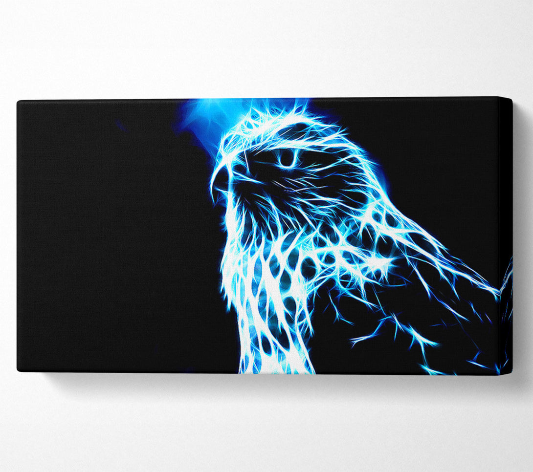  A Canvas Print of Eagle Blaze Canvas Print