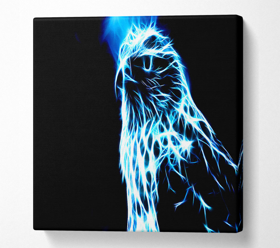  A Canvas Print of Eagle Blaze Canvas Print