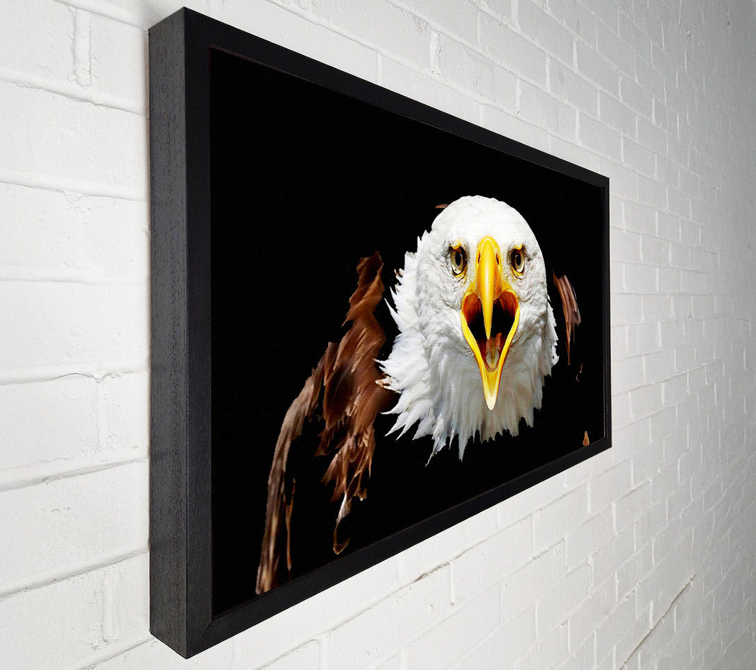  A Canvas Print of Eagle Talk Canvas Art