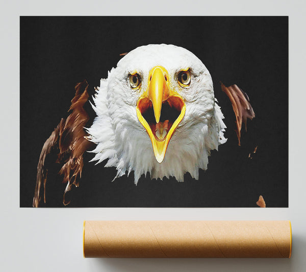 Eagle Talk Print