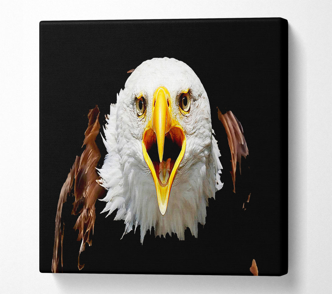  A Canvas Print of Eagle Talk Canvas Art