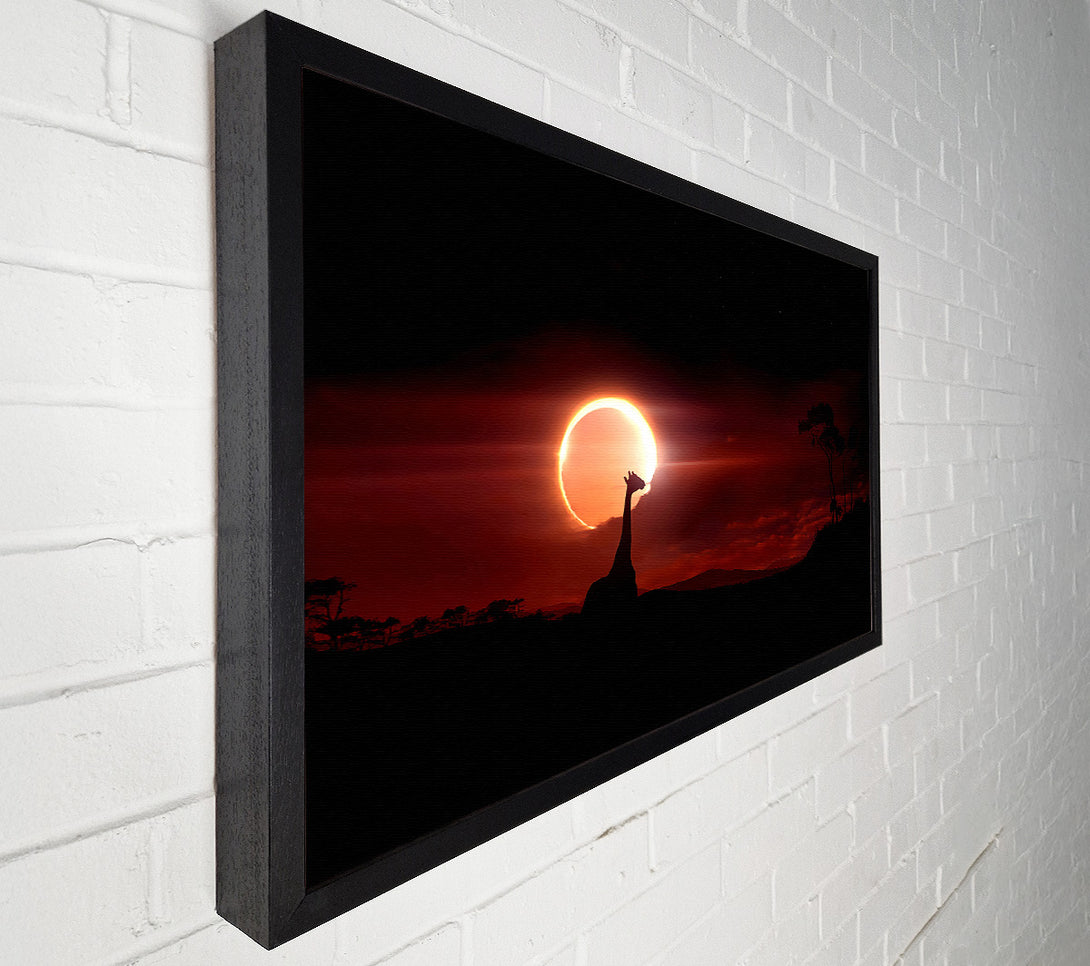  A Canvas Print of Eclipse Canvas Wall Art