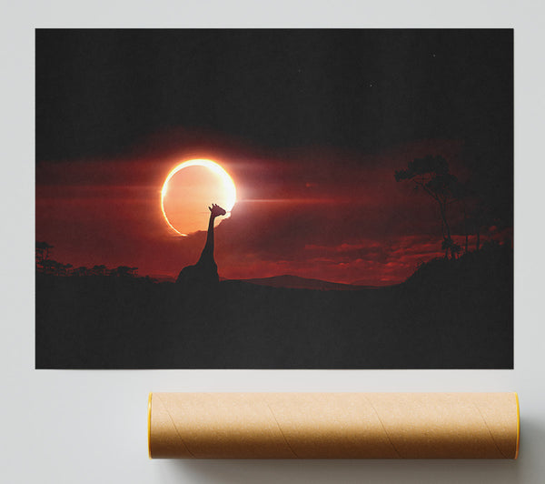 Eclipse Poster